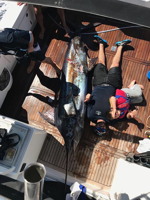ANGLER: Anthony Raco SPECIES: Blue Marlin WEIGHT: 193kg LURE: JB Lures Dingo.